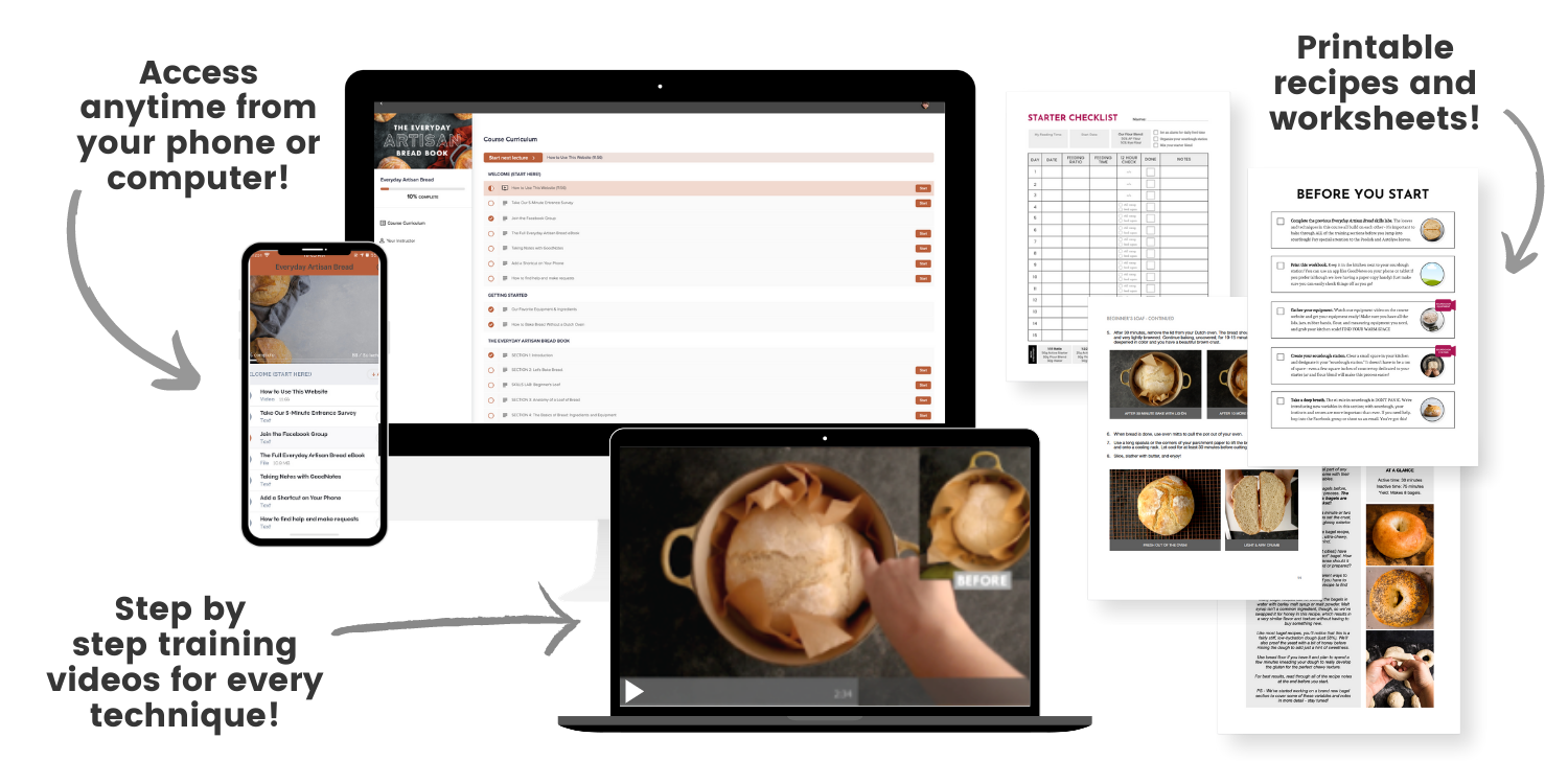 Screenshots of various lessons from the Everyday Artisan Bread course.
