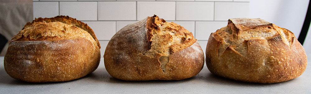 Three sourdough loaves in a row on a white table.